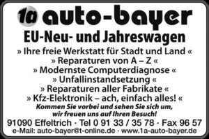 Auto Bayer Eff