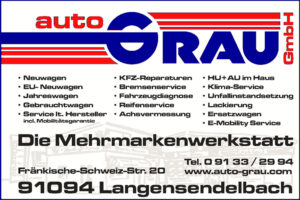 Auto Grau Langensendelbach